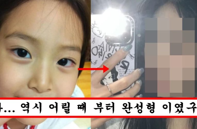 성형한거 아니냐는 논란에 팬이 빡쳐서 사진 다 풀어서 떡상한 여자 아이돌