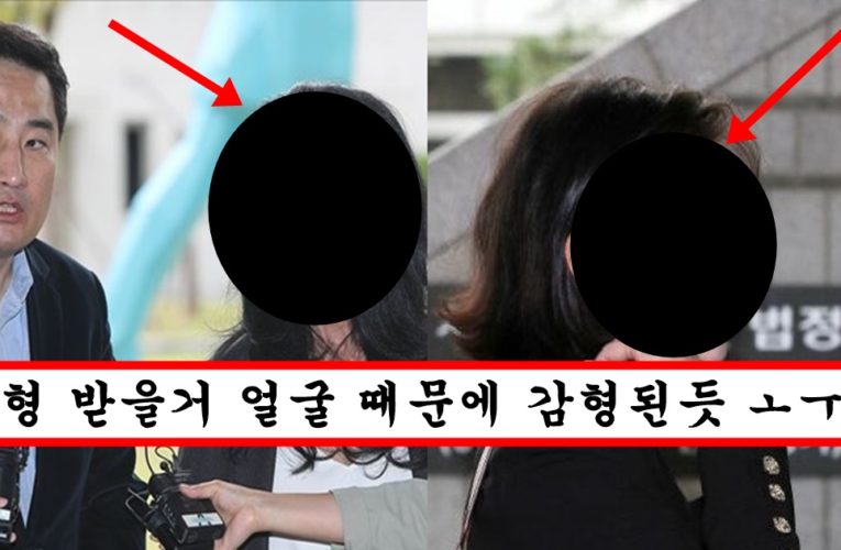 판사는 유죄를 선고했지만 네티즌들은 얼굴보고 무죄라고 판결내린 강용석 내연녀 도도맘 최근 미모