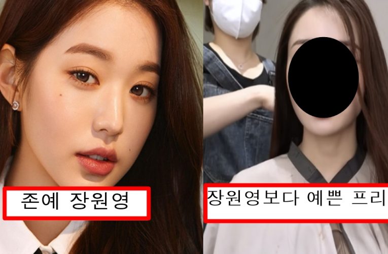 얼굴 고친건지 최근 존예돼서 장원영이랑 진짜 헷갈린다는 프리지아 미모 수준