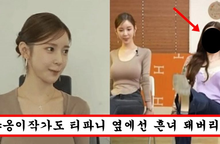 “역시 연예인은 연예인인가?” 존예로 알려진 야옹이 작가도 못생겨보여지게 만들어버린 소녀시대 티파니