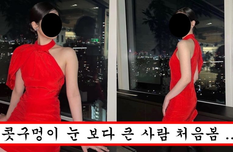 원래 예뻤는데 콧구멍 평수 확장돼서 코 수술 시급해 보인다는 아이돌