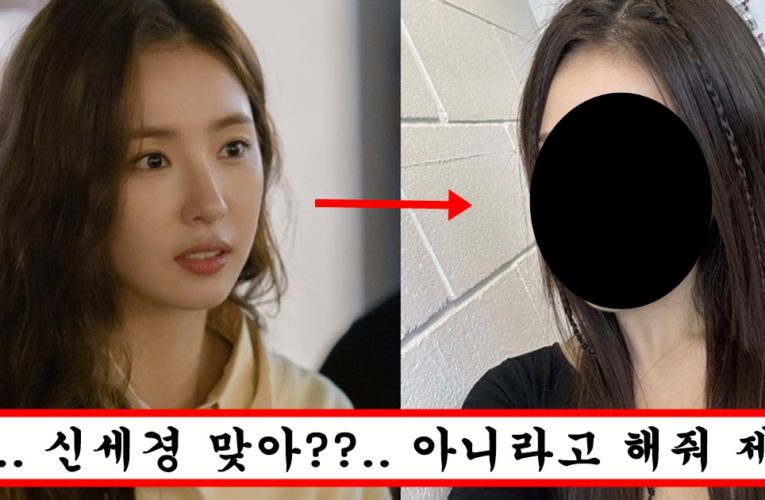 “신세경 왜이렇게 변했냐?” 최근 충격적이라는 신세경 비쥬얼 수준