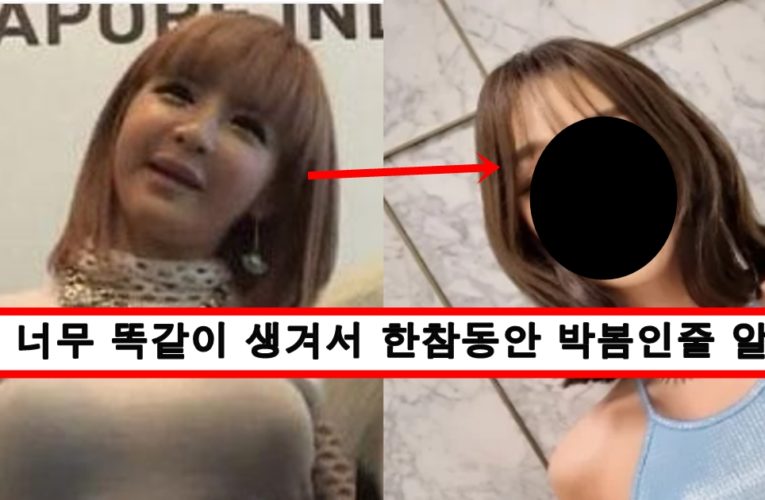 성형 오지게 하다가 박봄 되어버린 효린 충격적인 근황