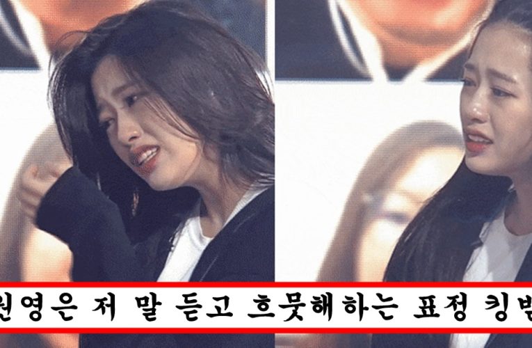 무대에 있는데 팬이 “안유진, 장원영이랑 덩치차이 실화냐?”라는 말 듣고 오열하는 안유진