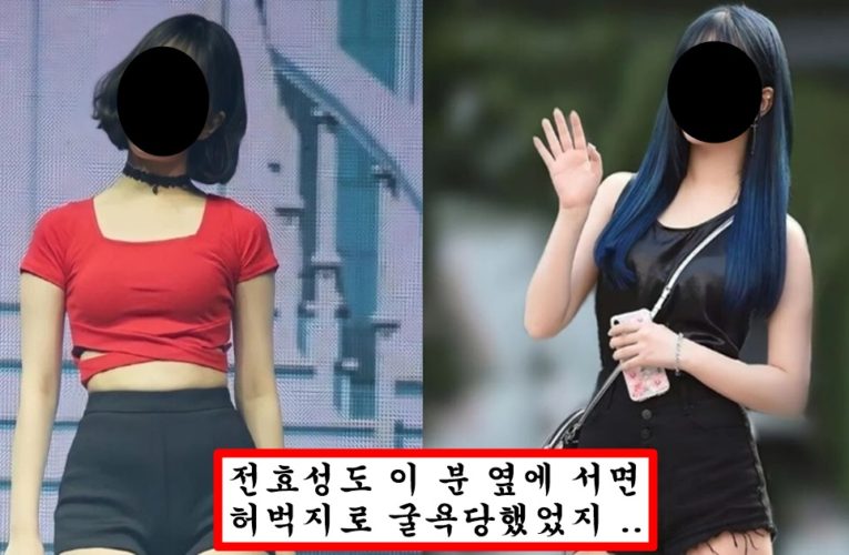 얼굴은 평범한데 허벅지 하나로 톱 아이돌까지 올라간 의외의 걸그룹 맴버