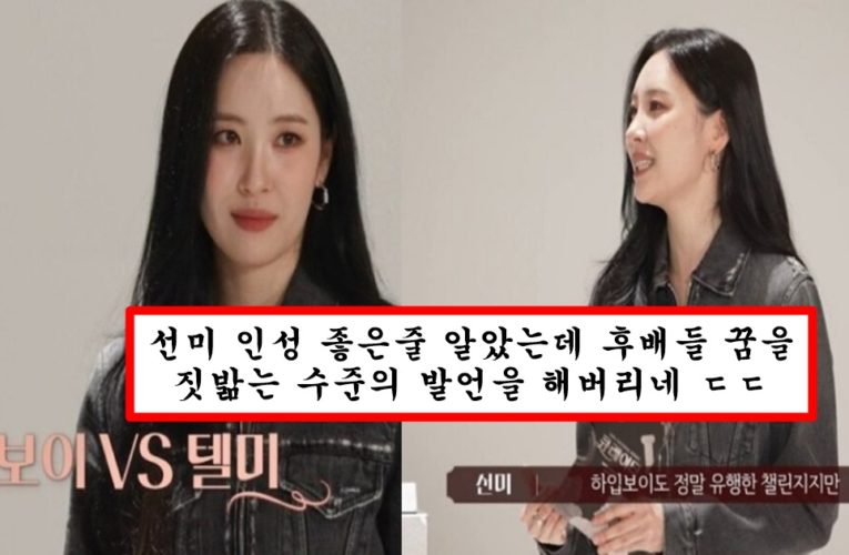 뉴진스 하입보이는 원더걸스 텔미에 비하면 아무것도 아니다 라고 발언해서 논란중인 원더걸스 선미