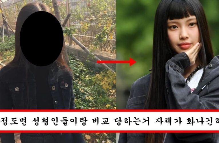 자꾸 성형 카리나랑 비교되자 빡쳐서 초 4때 이미 다 가졌다는 거 보여주려고 과거 사진 공개한 뉴진스 혜인