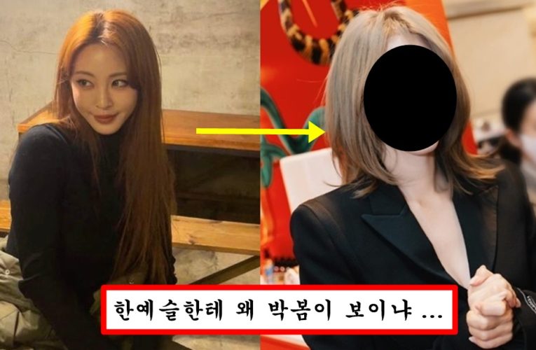 접대부 남자랑 연예하더니 가스라이팅 당했는지 쌍커풀 다시 했다가 징그럽다는 평 나오고 있는 한예슬 충격 근황