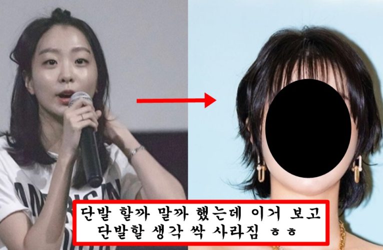 본인이 고준희보다 예쁘다 생각했는지 단발 했다가 대참사 나버린 김다미 충격 근황