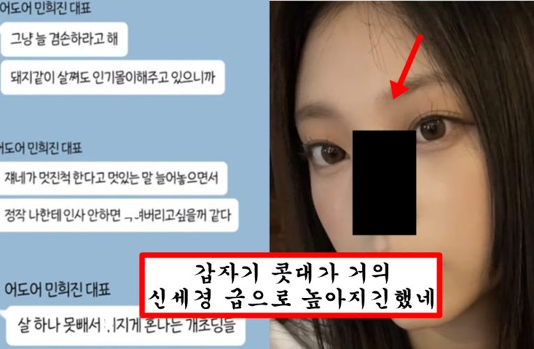 민희진한테 카톡으로 욕 먹은거 보고 충격 먹었는지 코 성형했는지 존예 되어버린 뉴진스 해린