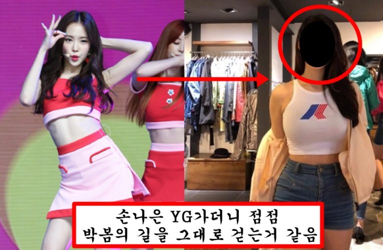 에이핑크 통수치고 맴버들 잘나가자 자격지심 느꼈는지 얼굴 너무 손대다 못 알아볼 정도 되어버린 손나은